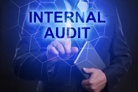 Internal-Audits-797531 internal audits